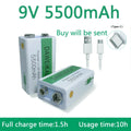 9V 5500mAh Rechargeable Li-ion Battery with Micro USB Charging Cable - main product image